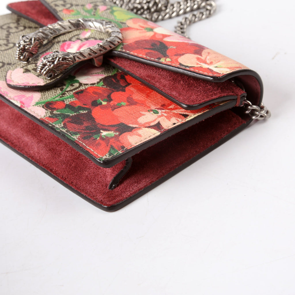 476432 Dionysus Blooms Super Mini