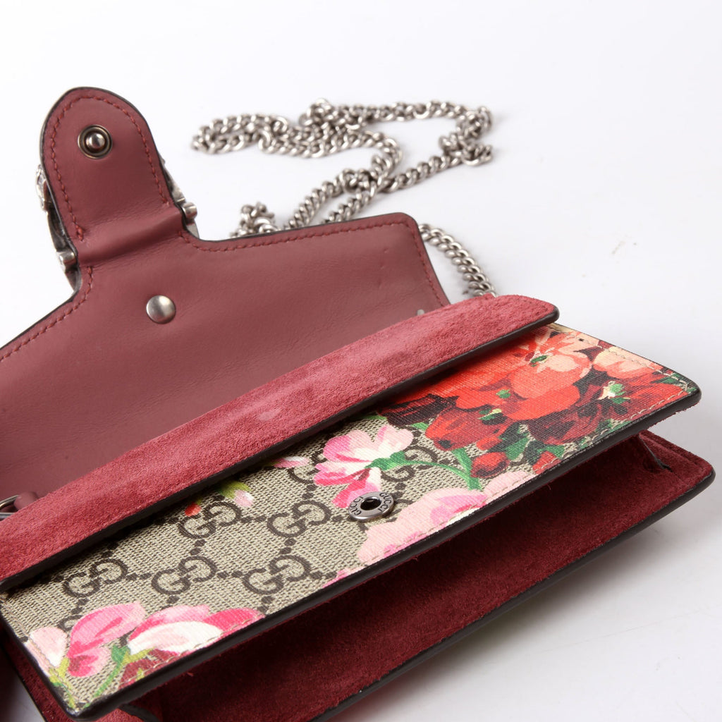 476432 Dionysus Blooms Super Mini