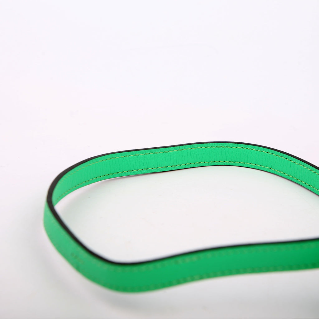 Hermes Constance 3 Mini Evercolor 2023 Vert Comics/Vert Fizz/Silver