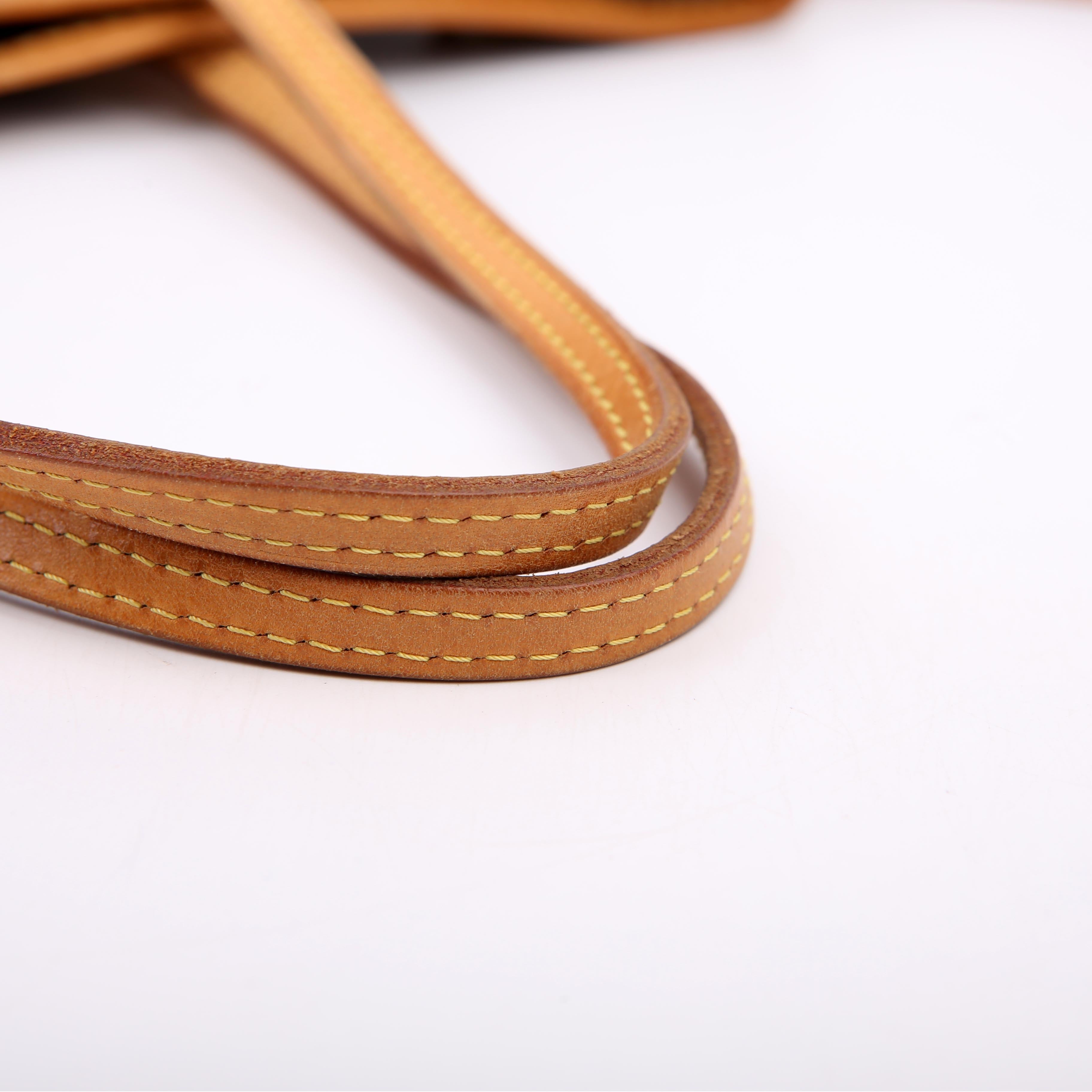 Neverfull PM Monogram