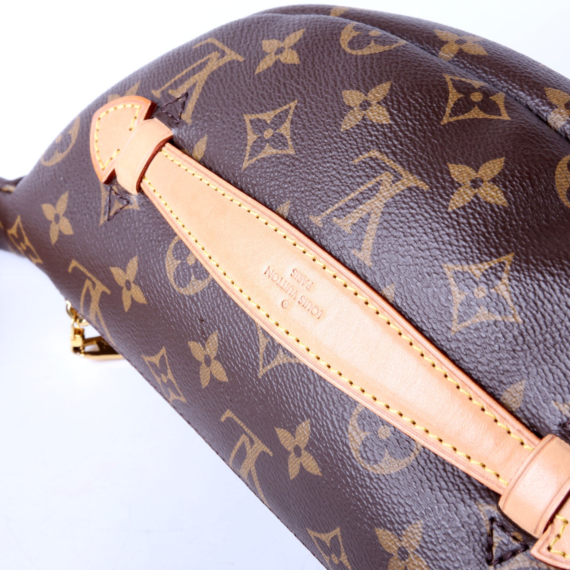 Bumbag Monogram 2020