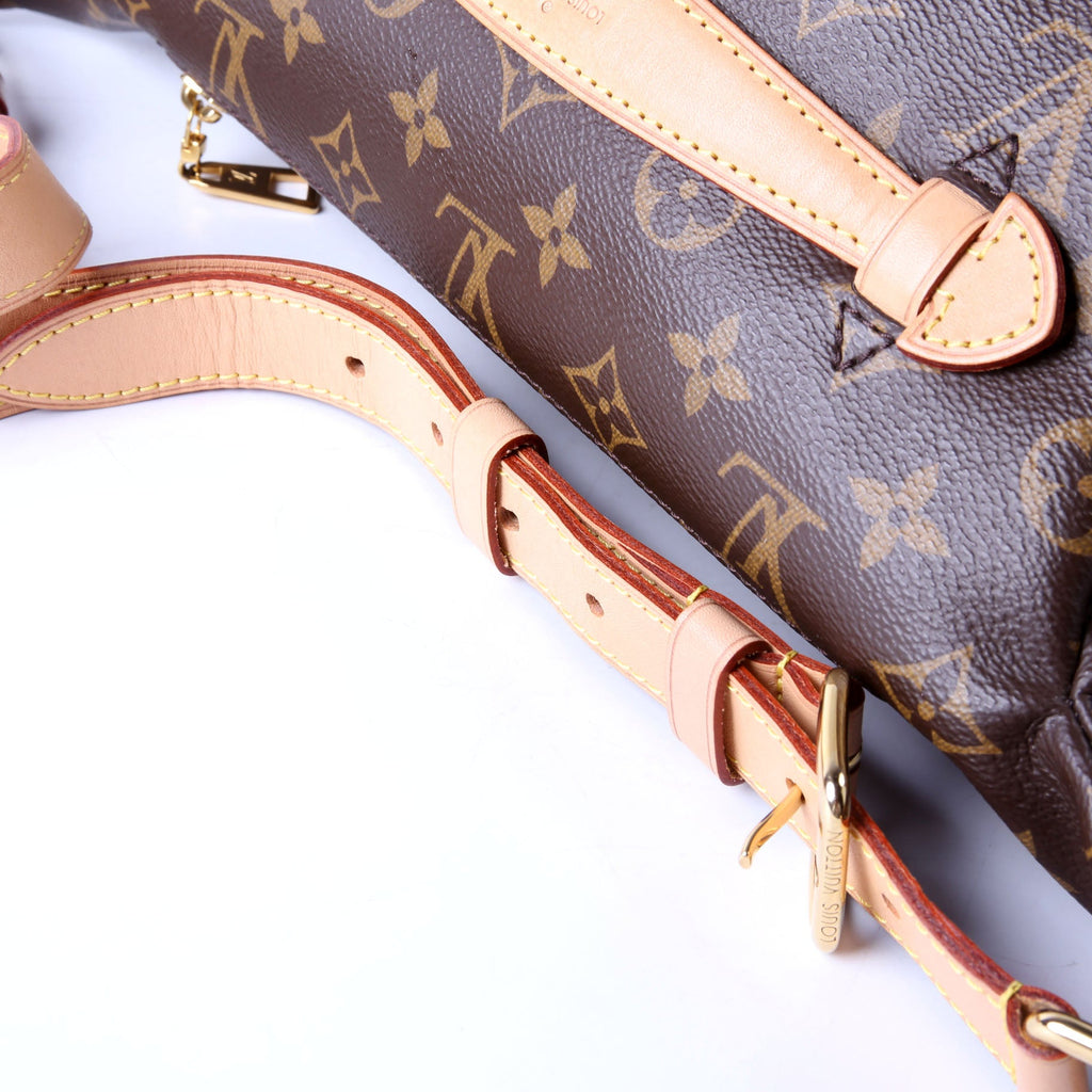 Bumbag Monogram 2020