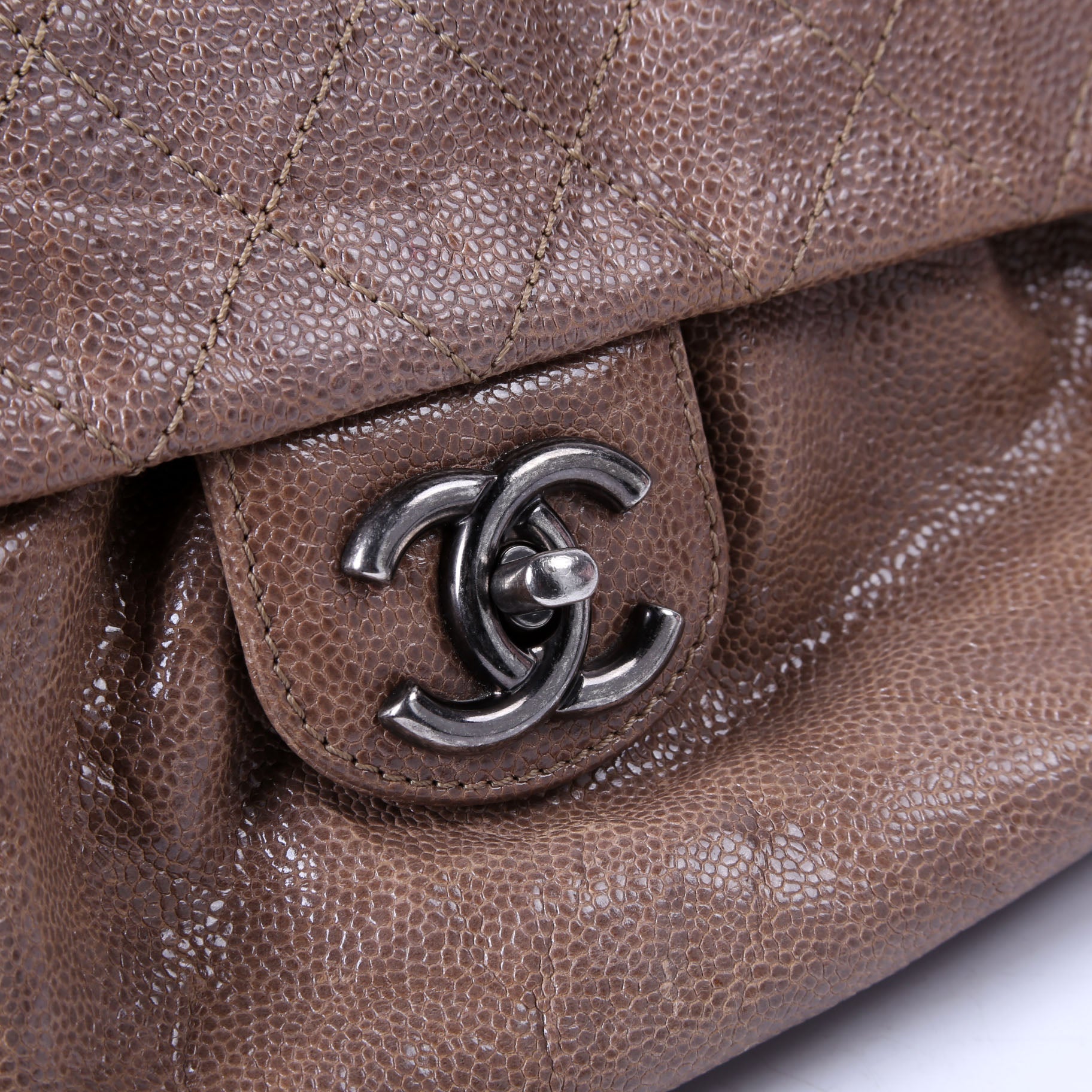 Elastic Flap Medium Caviar 16M Brown
