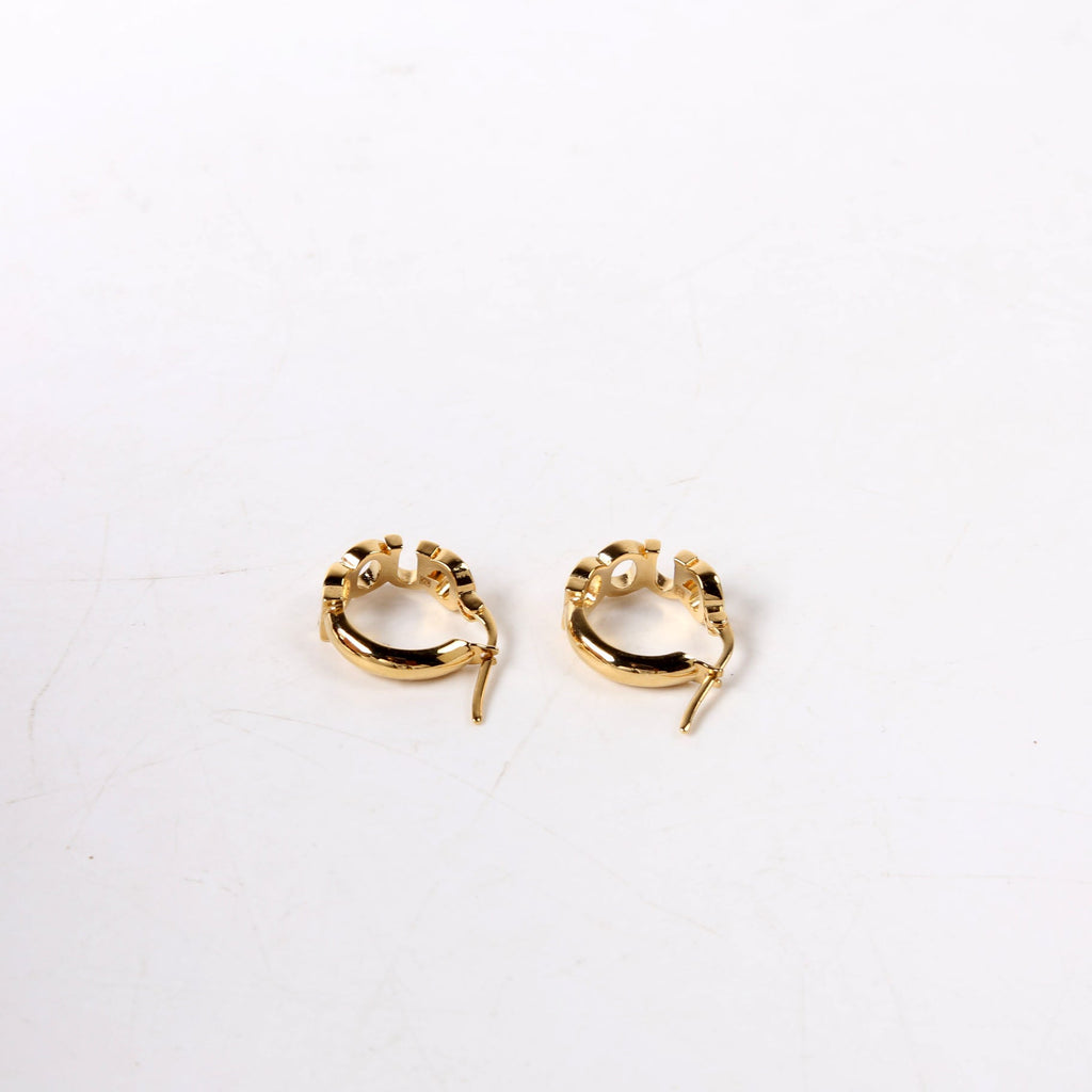 Logo Hoops Gold