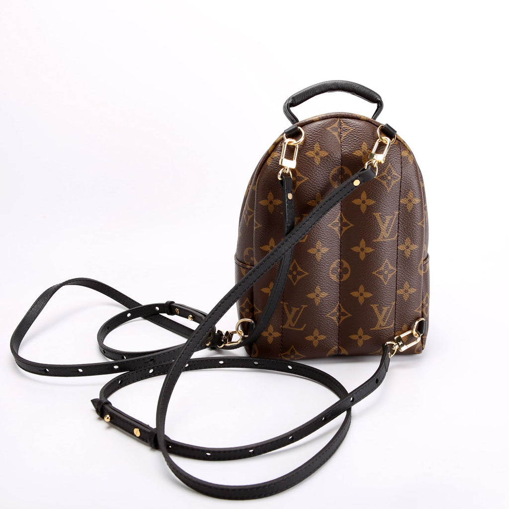 Palm Springs Mini New Version Monogram