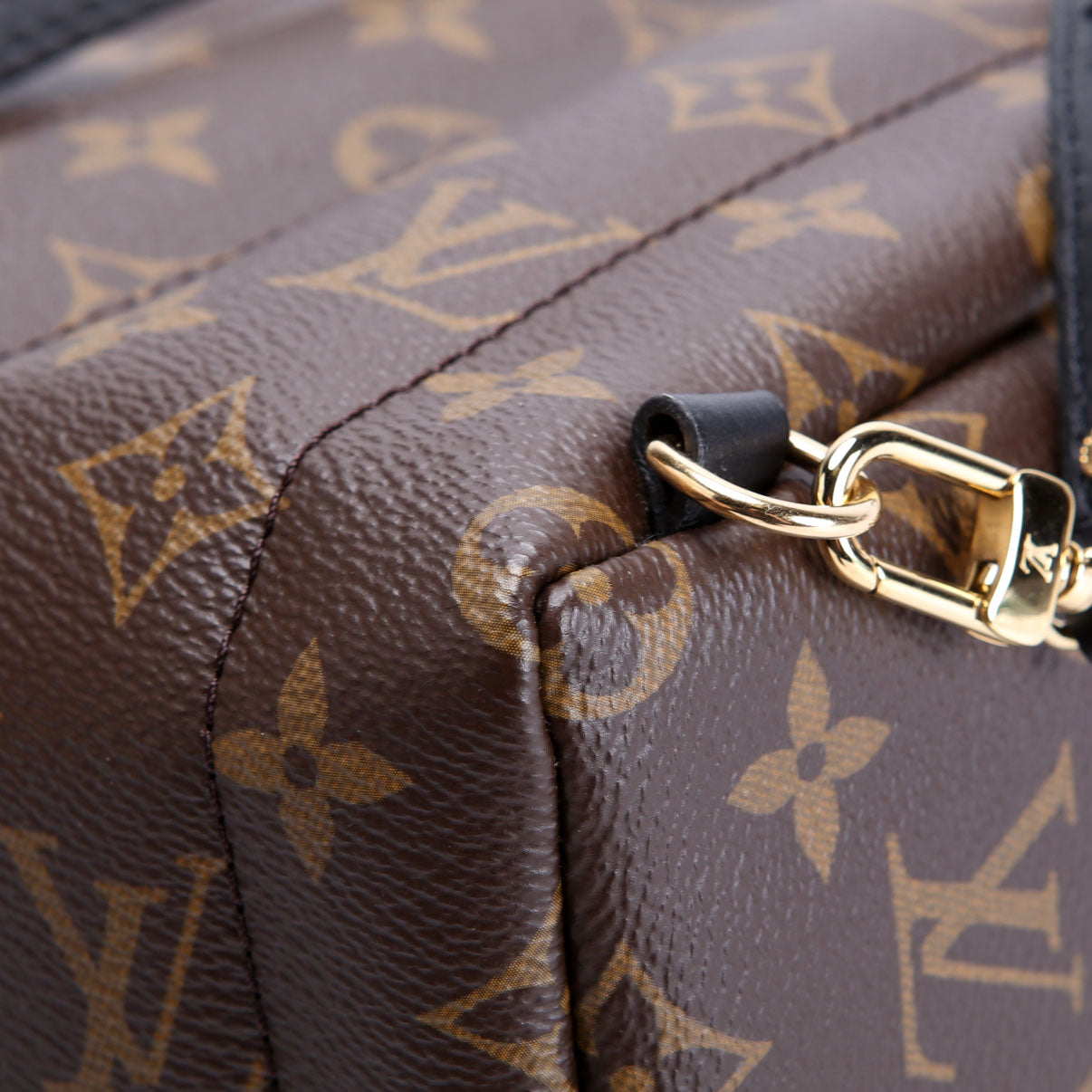 Palm Springs Mini New Version Monogram