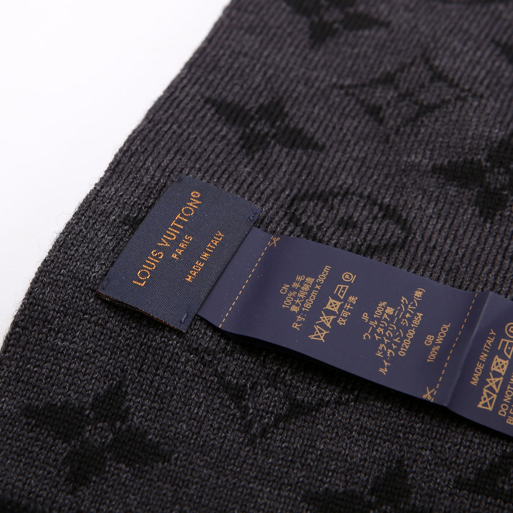 LV Varsity Monogram Wool Scarf