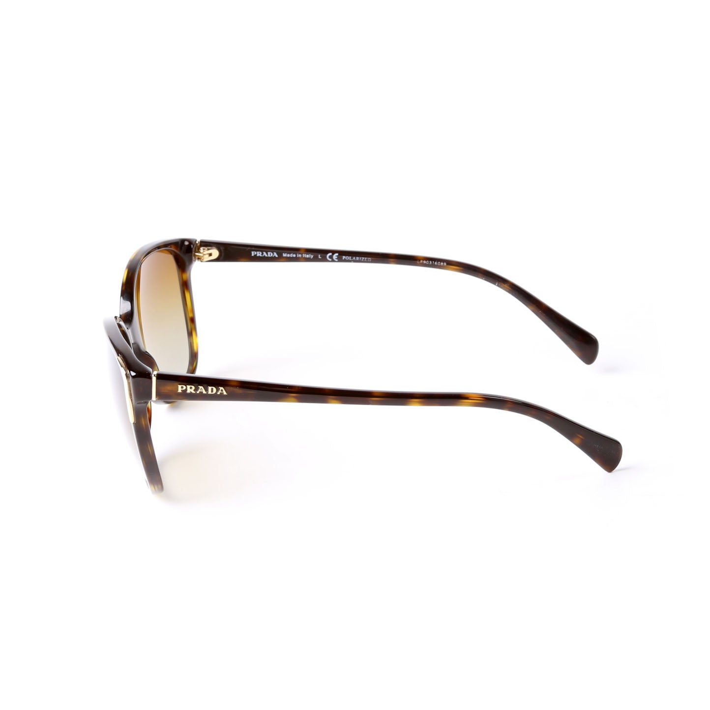 SPR010 Square Sunglasses Brown