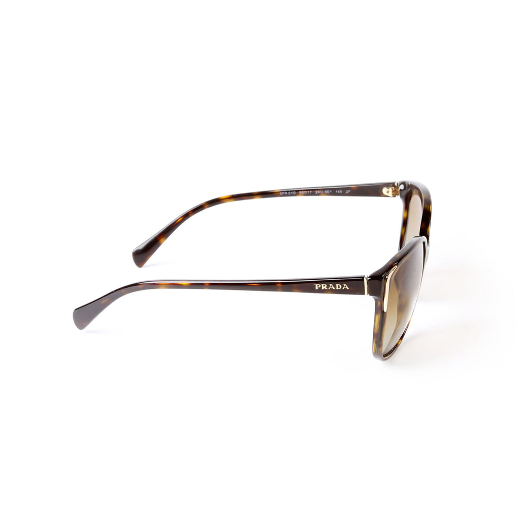 SPR010 Square Sunglasses Brown