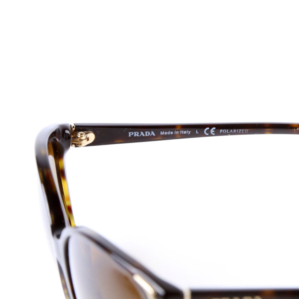 SPR010 Square Sunglasses Brown