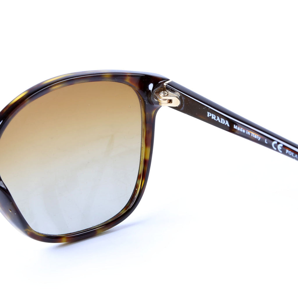SPR010 Square Sunglasses Brown