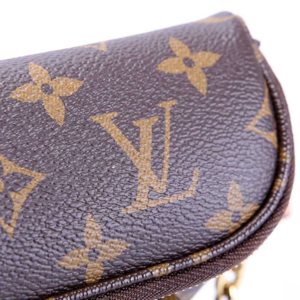 Mini Bumbag Monogram