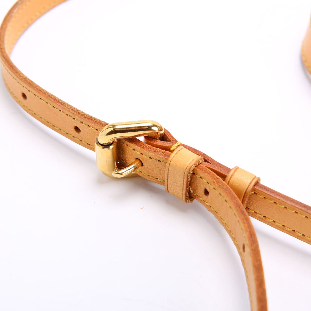 Palermo PM Monogram Brown