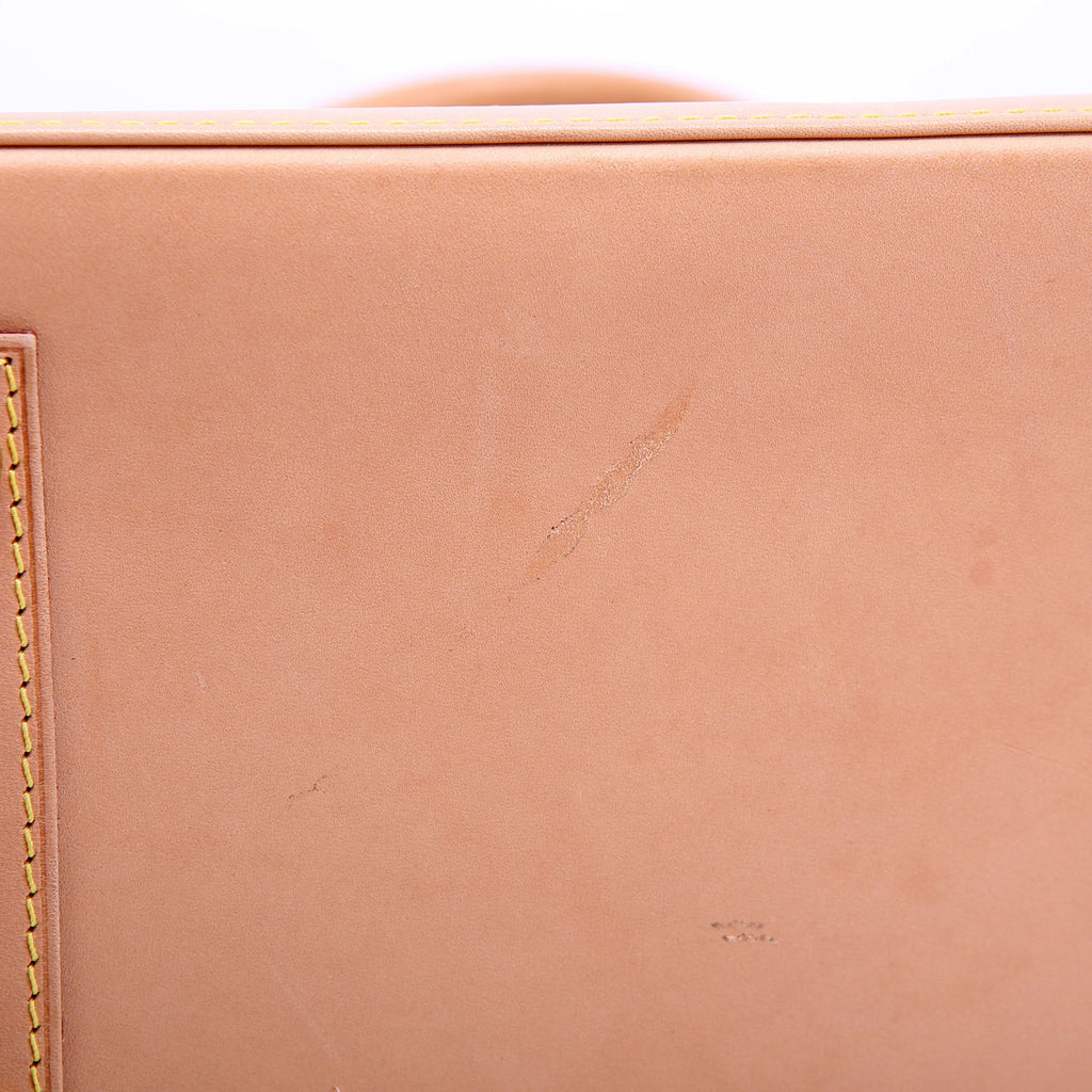 Alma PM Monogram Newer