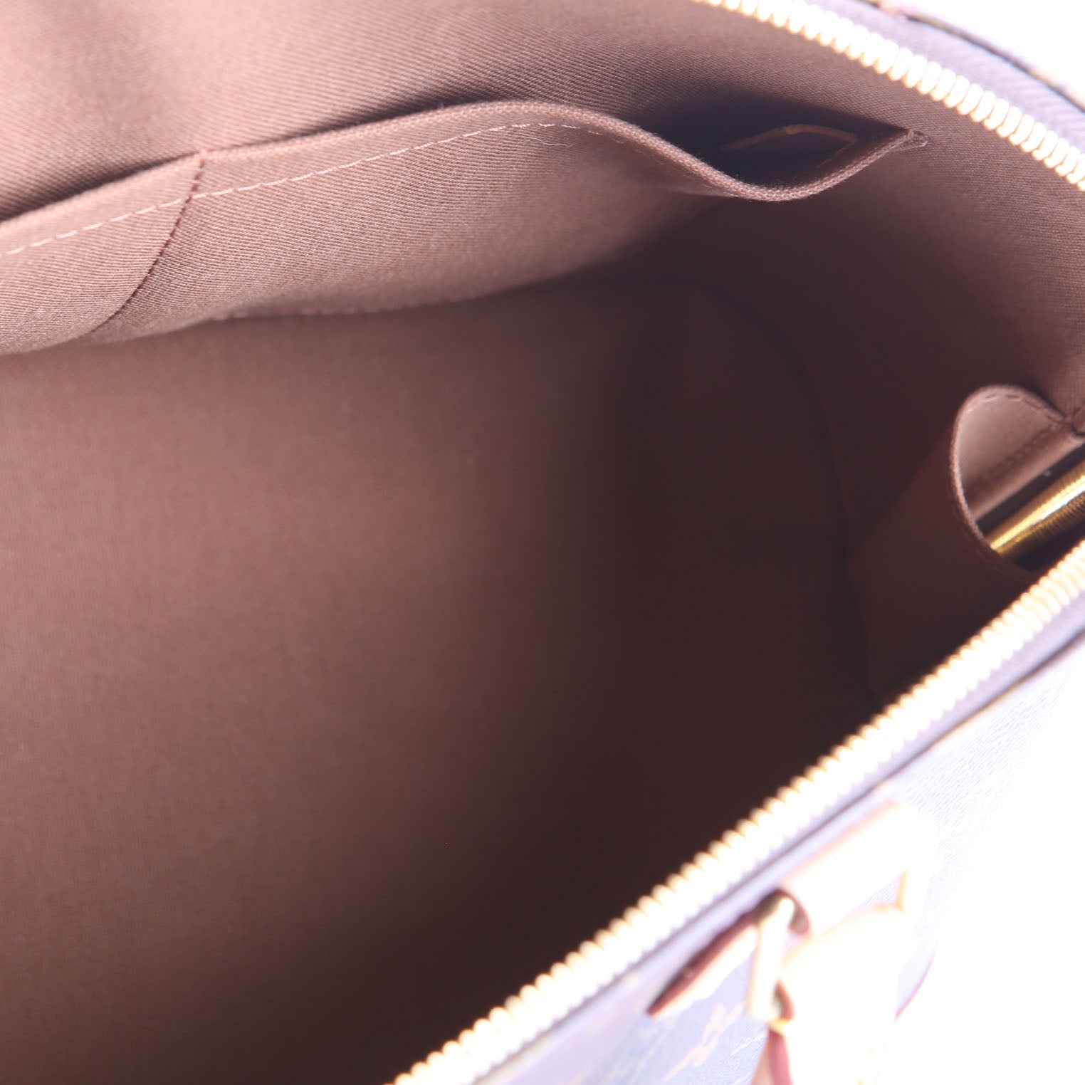 Alma PM Monogram Newer