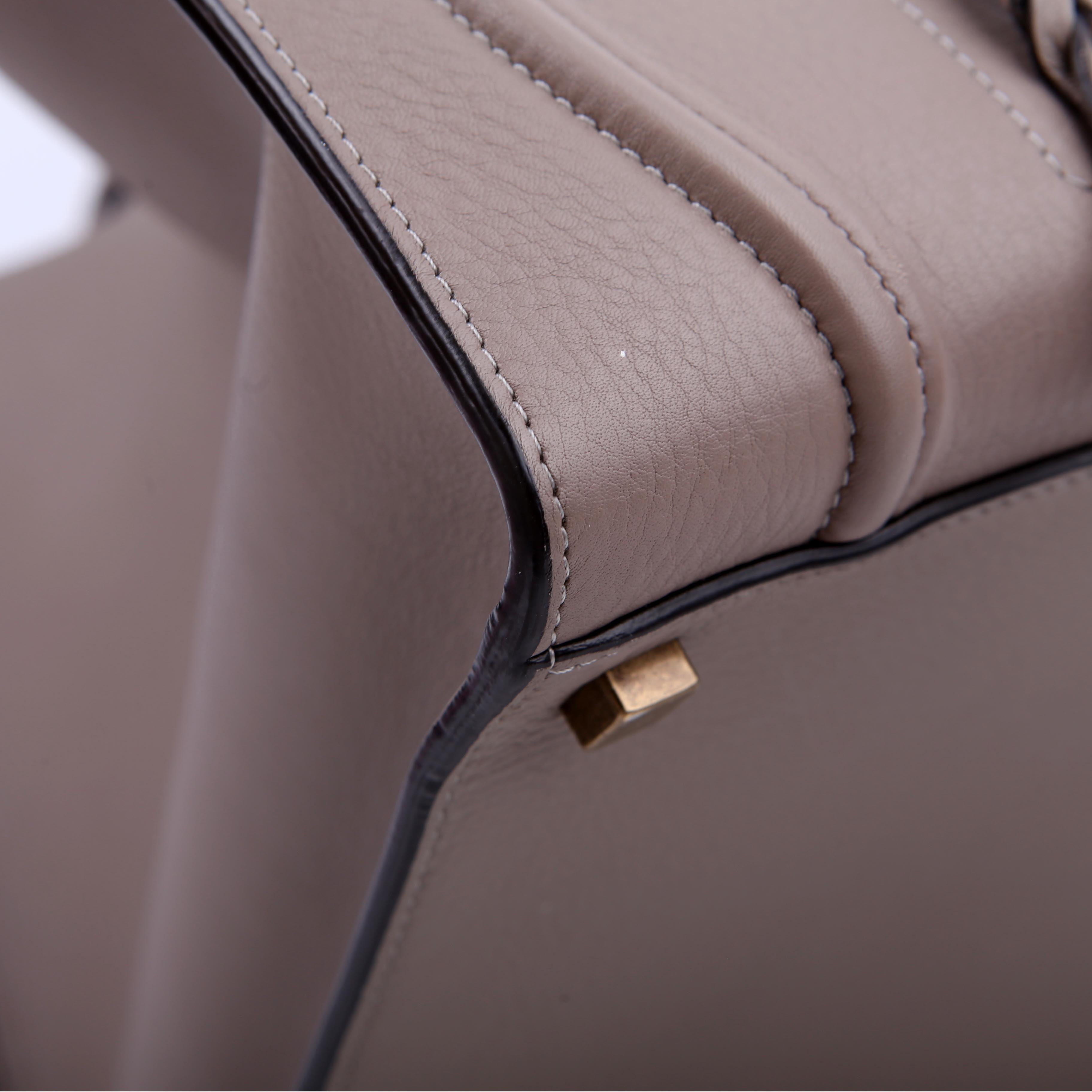 Luggage Phantom Medium Grey