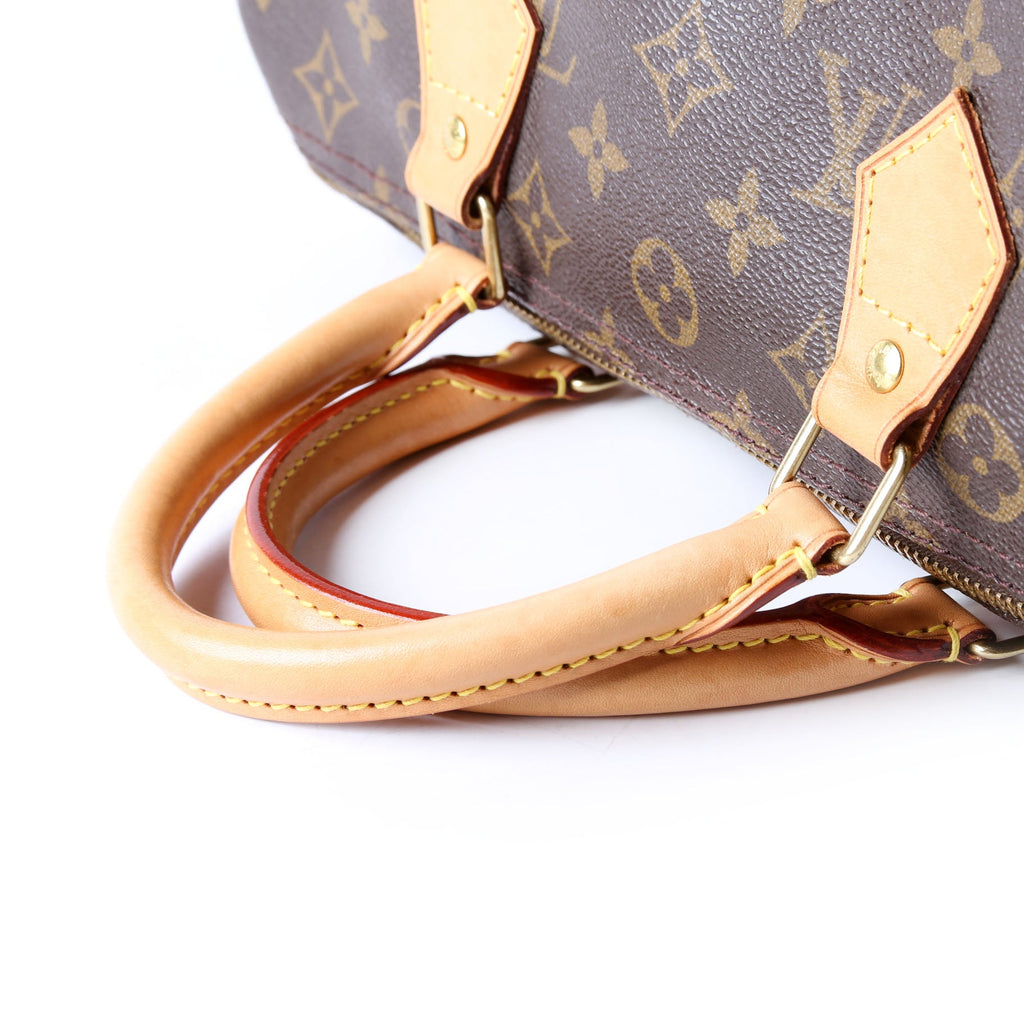 Speedy 30 Monogram Brown