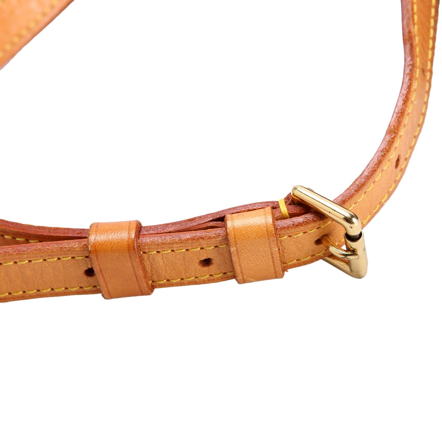 Musette Salsa Long Monogram