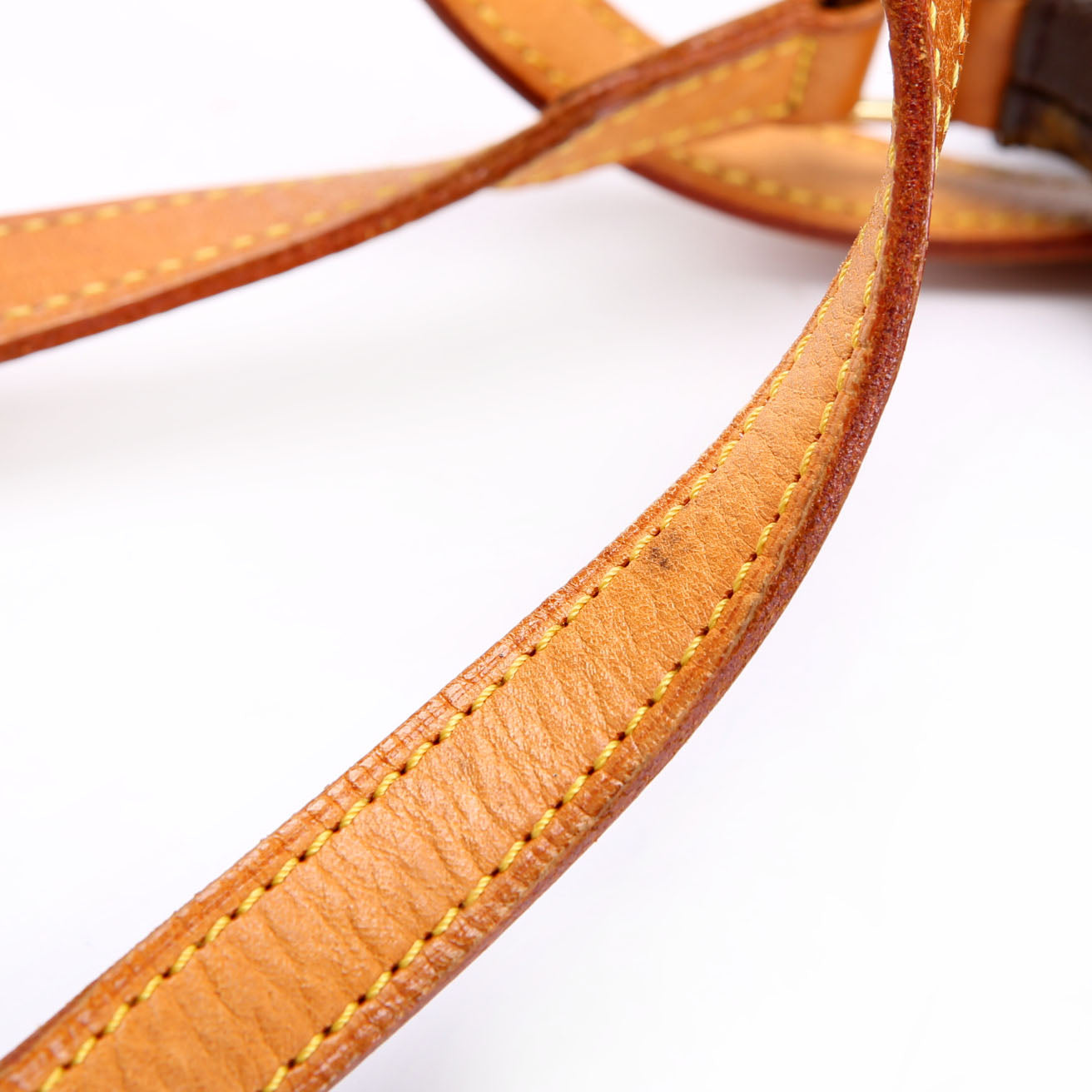 Musette Salsa Long Monogram
