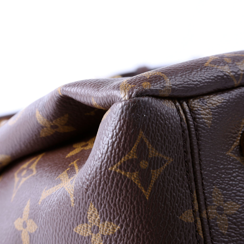 Pallas Tote Monogram Canvas Side