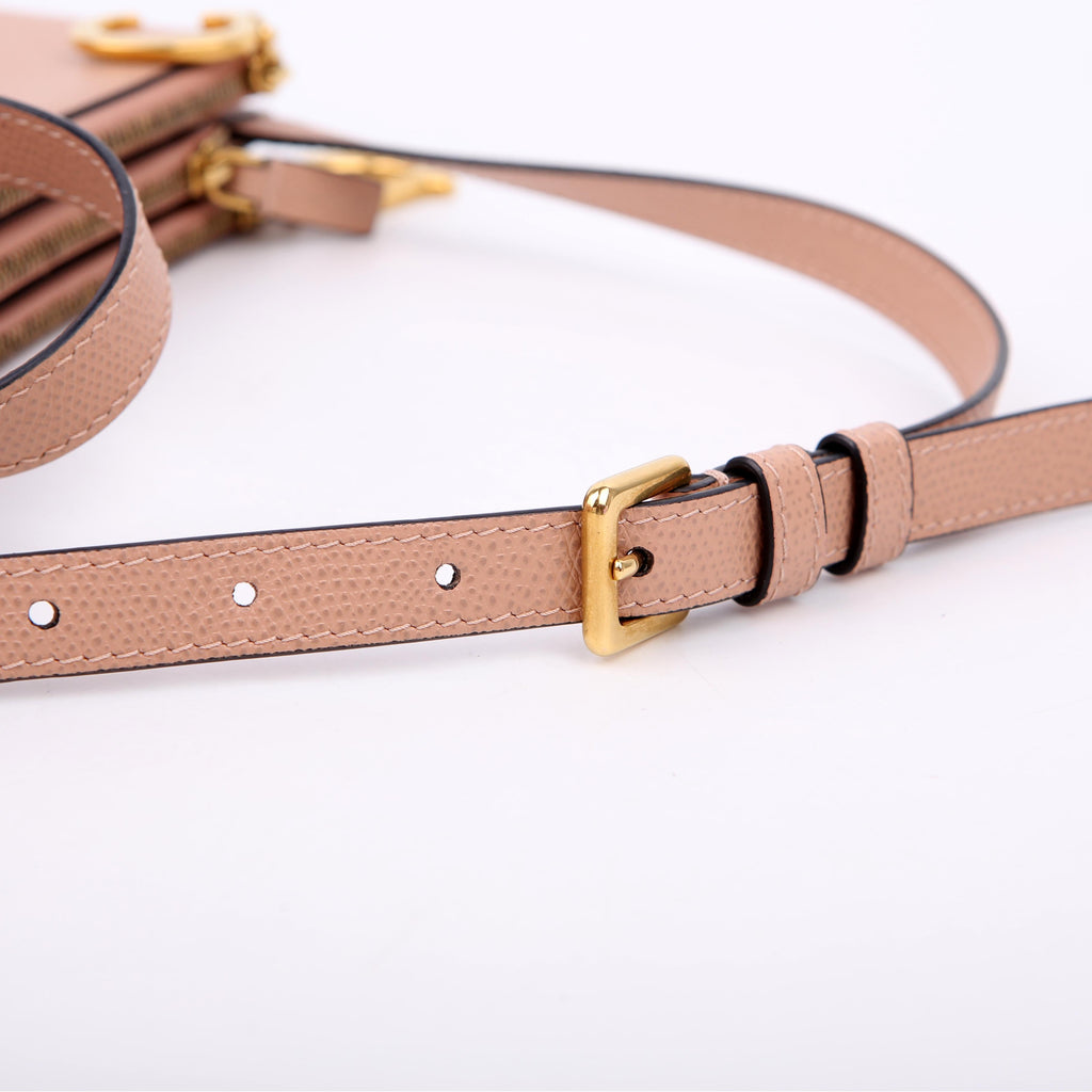 Dior Saddle Triple Zip Pouch Bag Nude