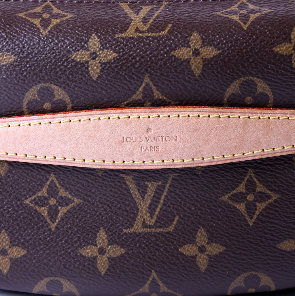 Bumbag Monogram 2020