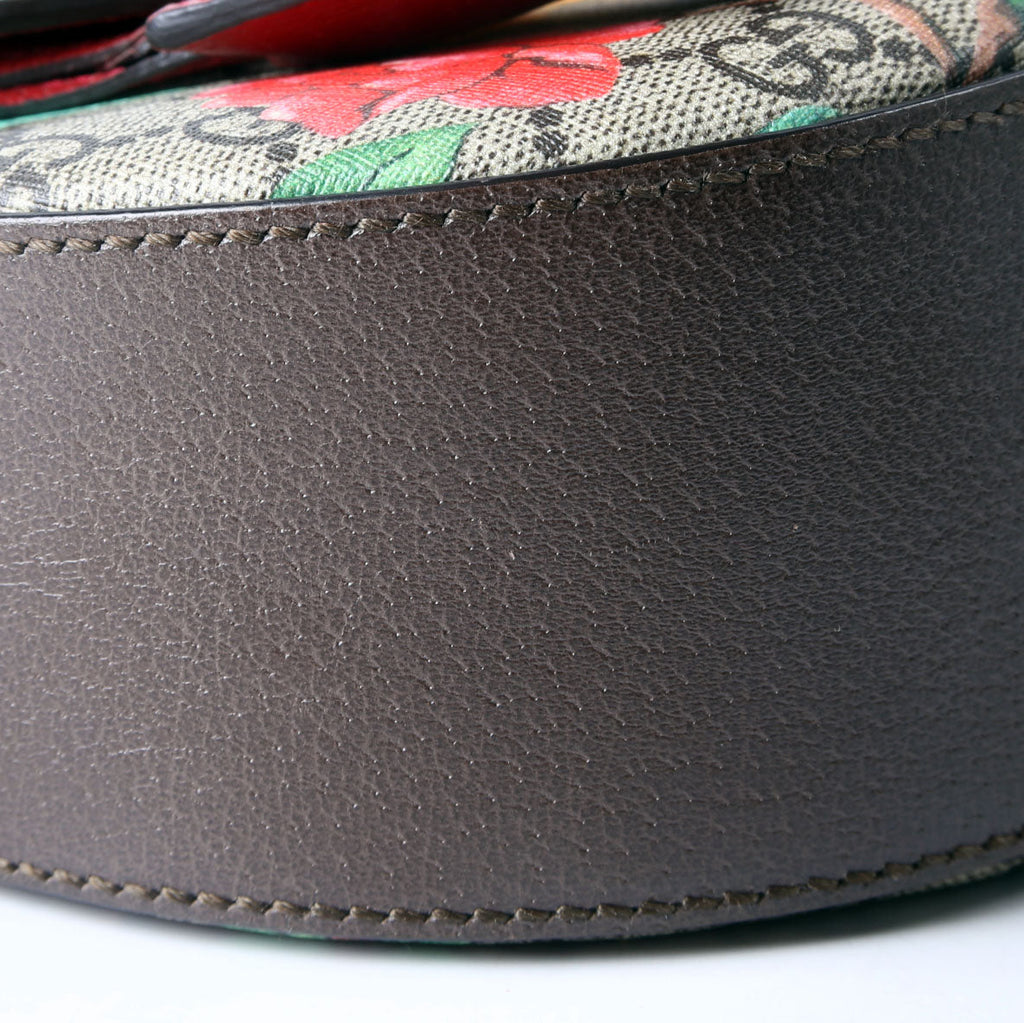 Gucci 453189 Padlock GG Supreme Tian Medium Messenger Multicolor