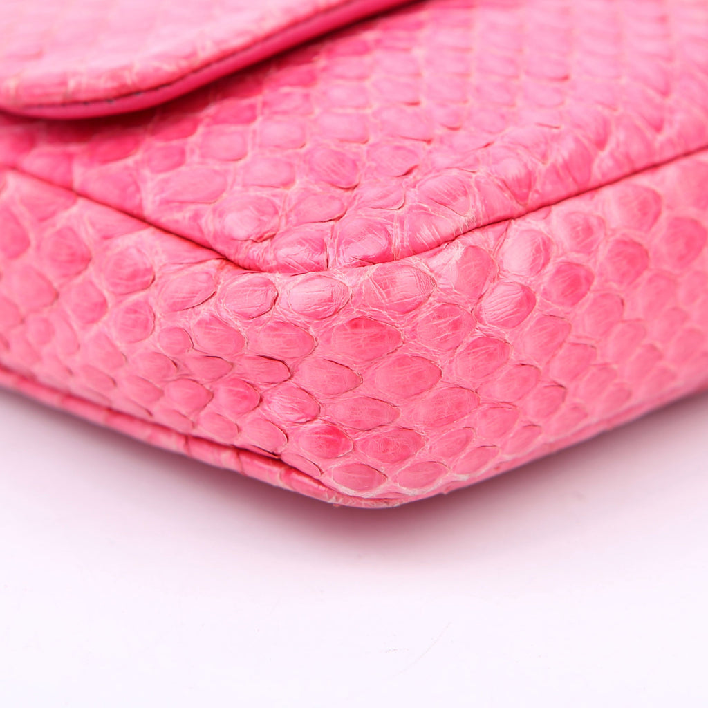 Dior WOC Promenade Python Pink