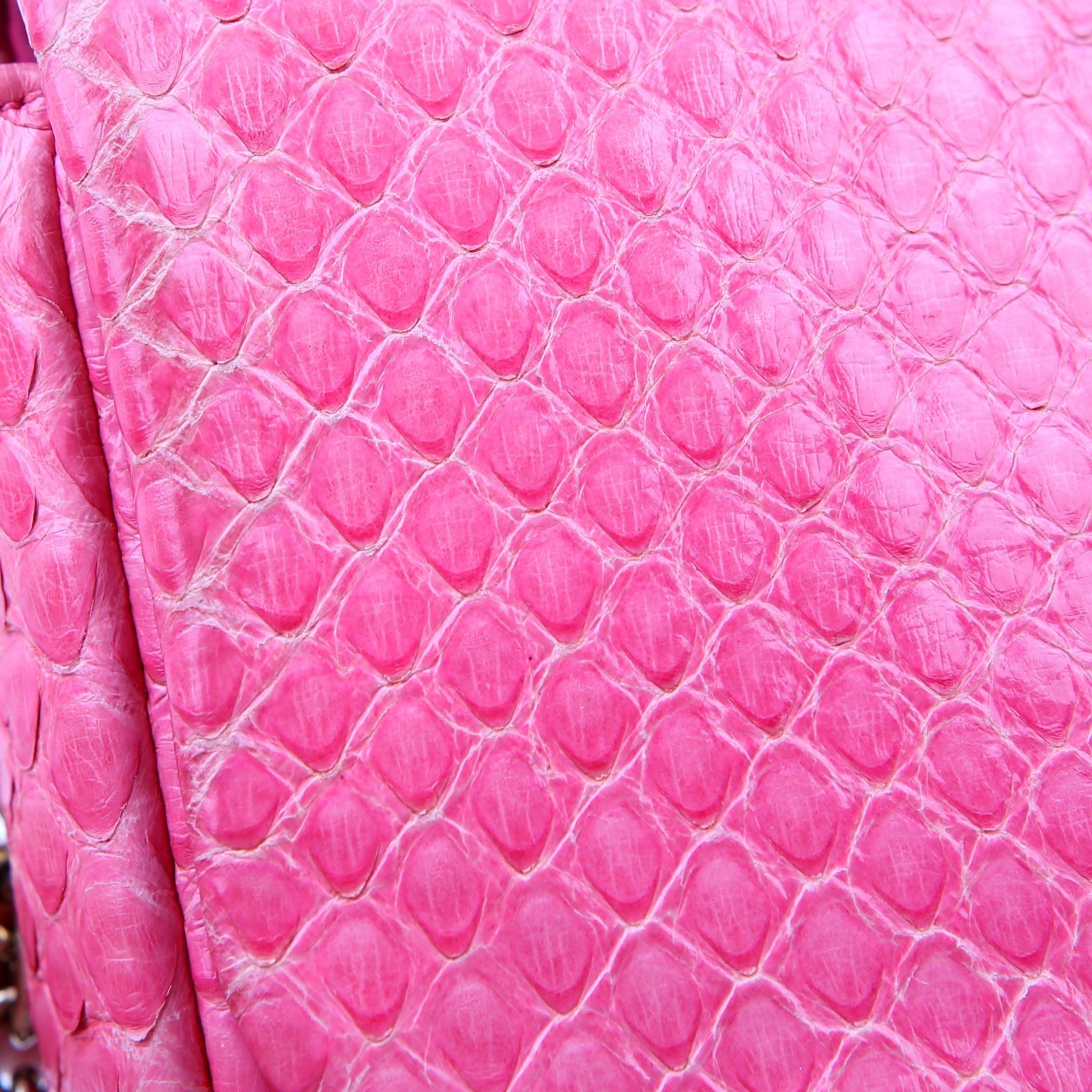 Dior WOC Promenade Python Pink
