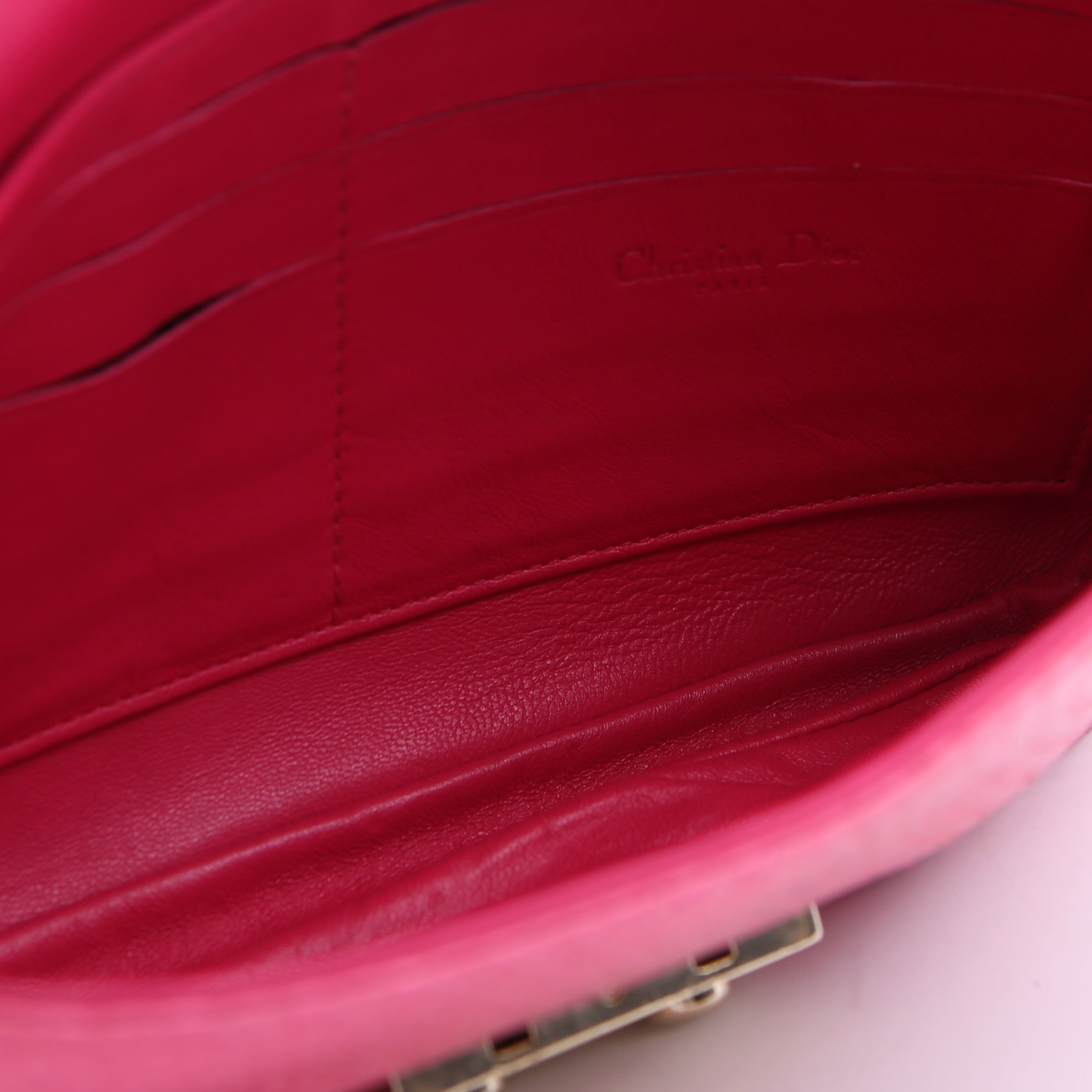Dior WOC Promenade Python Pink