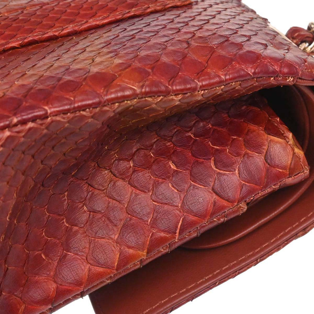 Chanel * Brown Python Medium Classic Double Flap Shoulder Bag