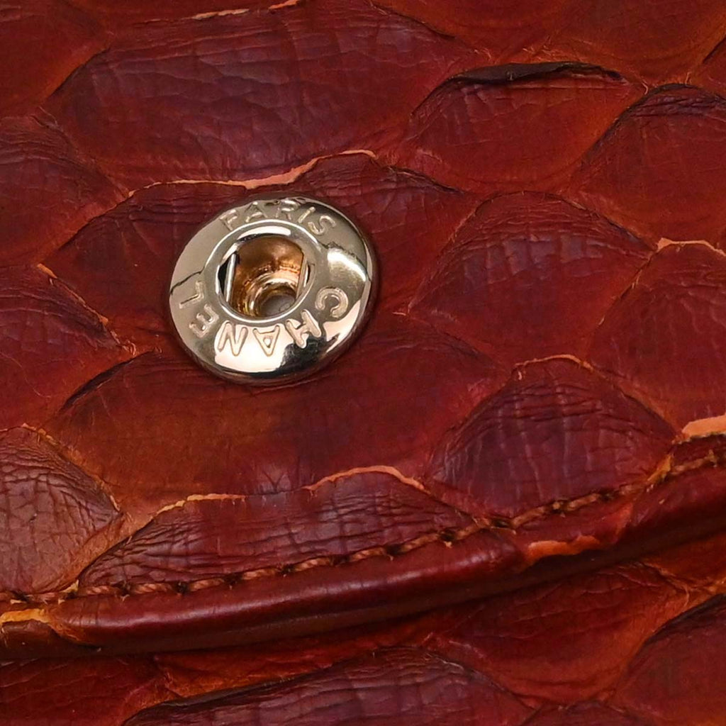 Chanel * Brown Python Medium Classic Double Flap Shoulder Bag