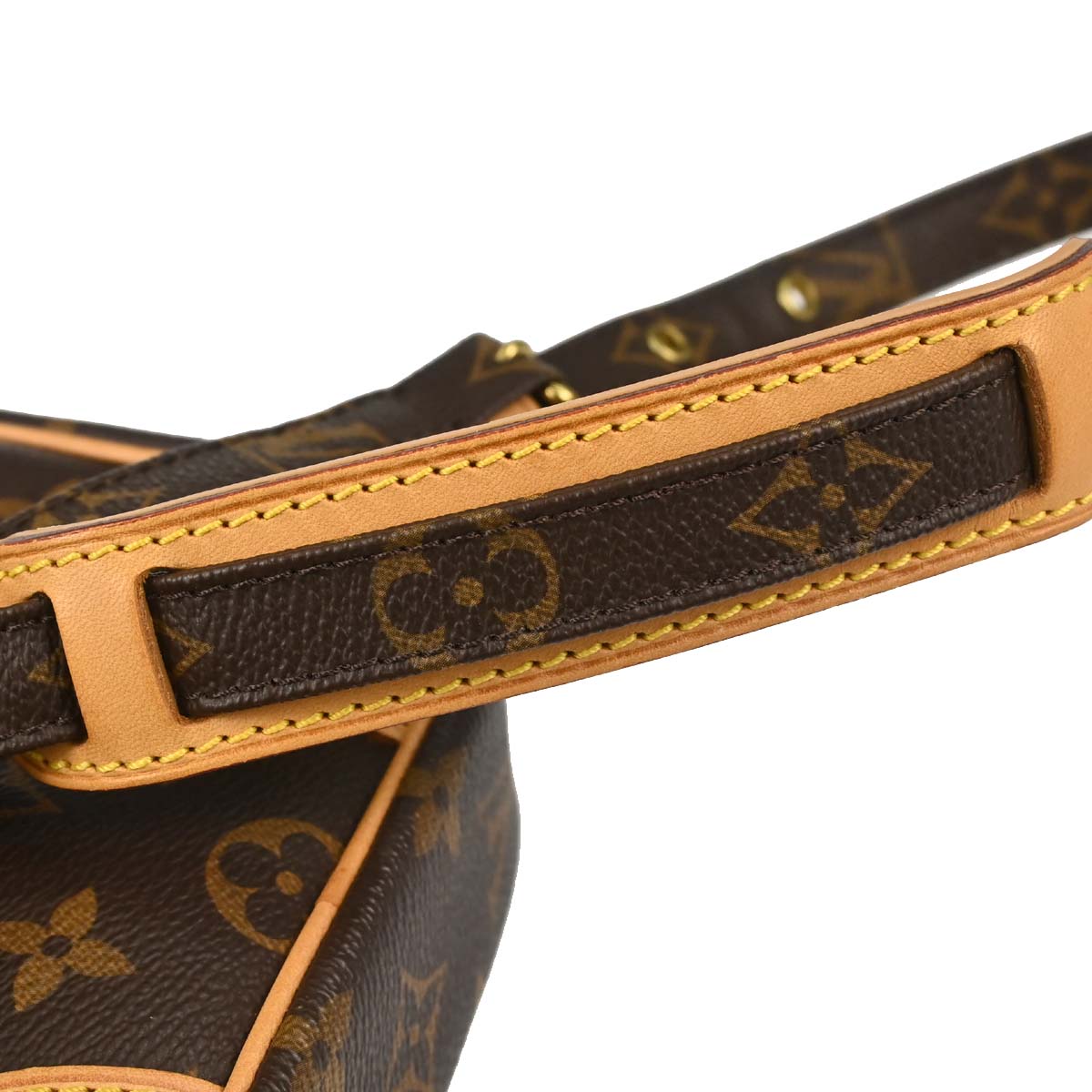 Louis Vuitton 2011 Monogram Danube Crossbody Bag M45266