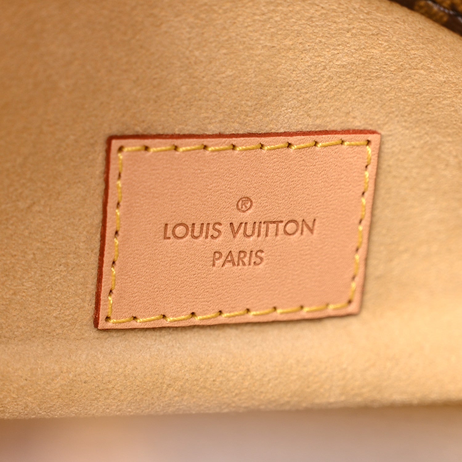 Louis Vuitton Monogram Artsy MM