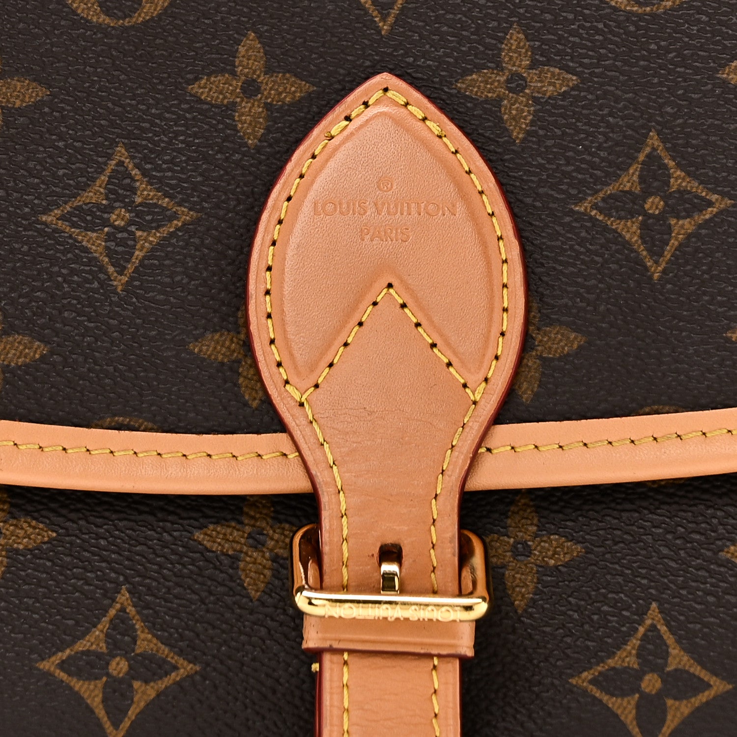Louis Vuitton Monogram Diane