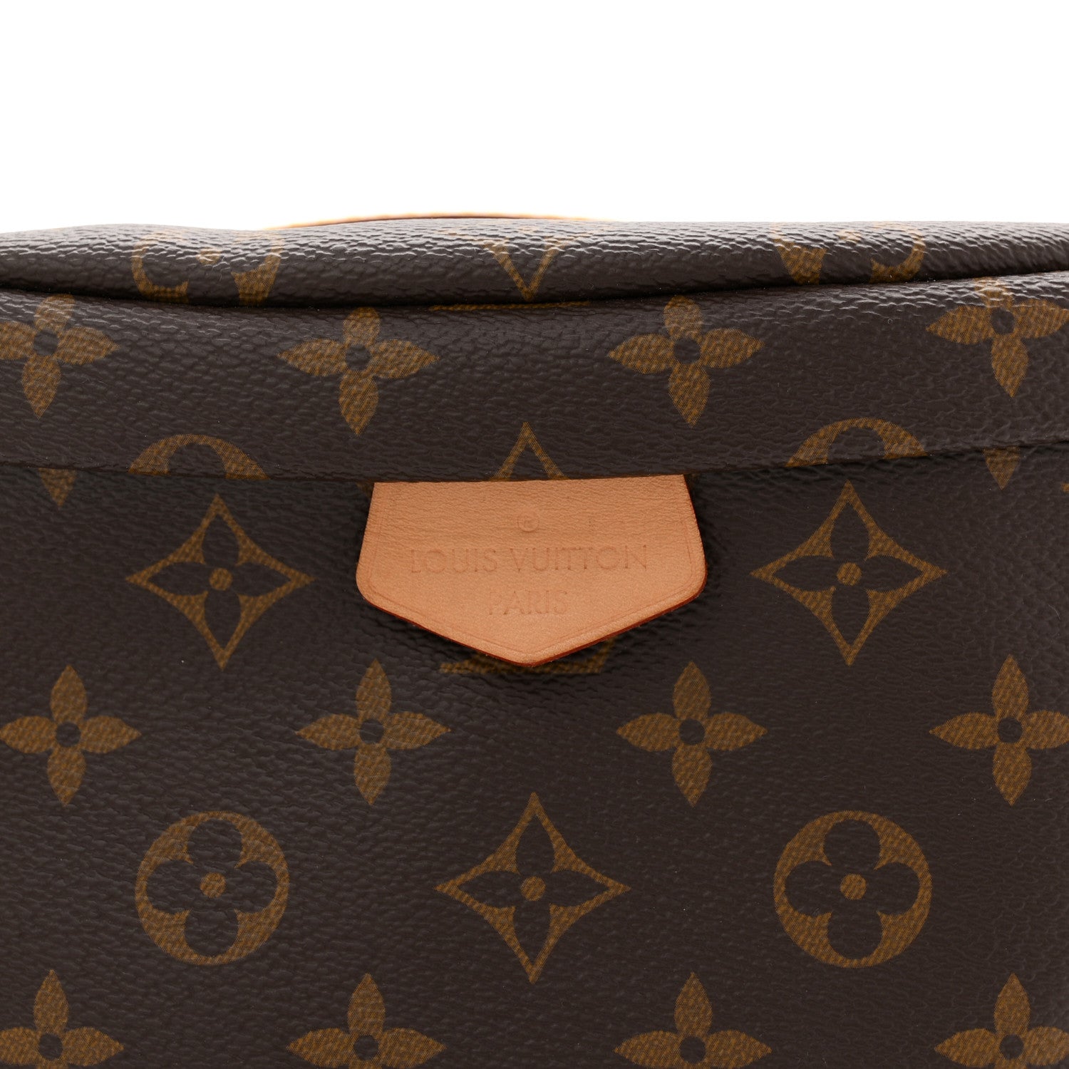 Louis Vuitton Monogram Bumbag