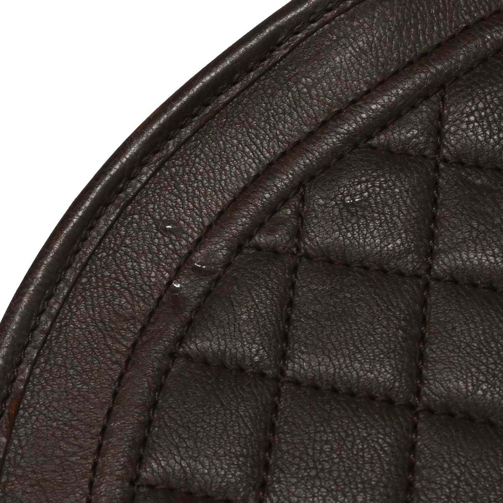 Chanel Brown Calfskin Pony Hair Paris-Dallas Saddle Shoulder Bag