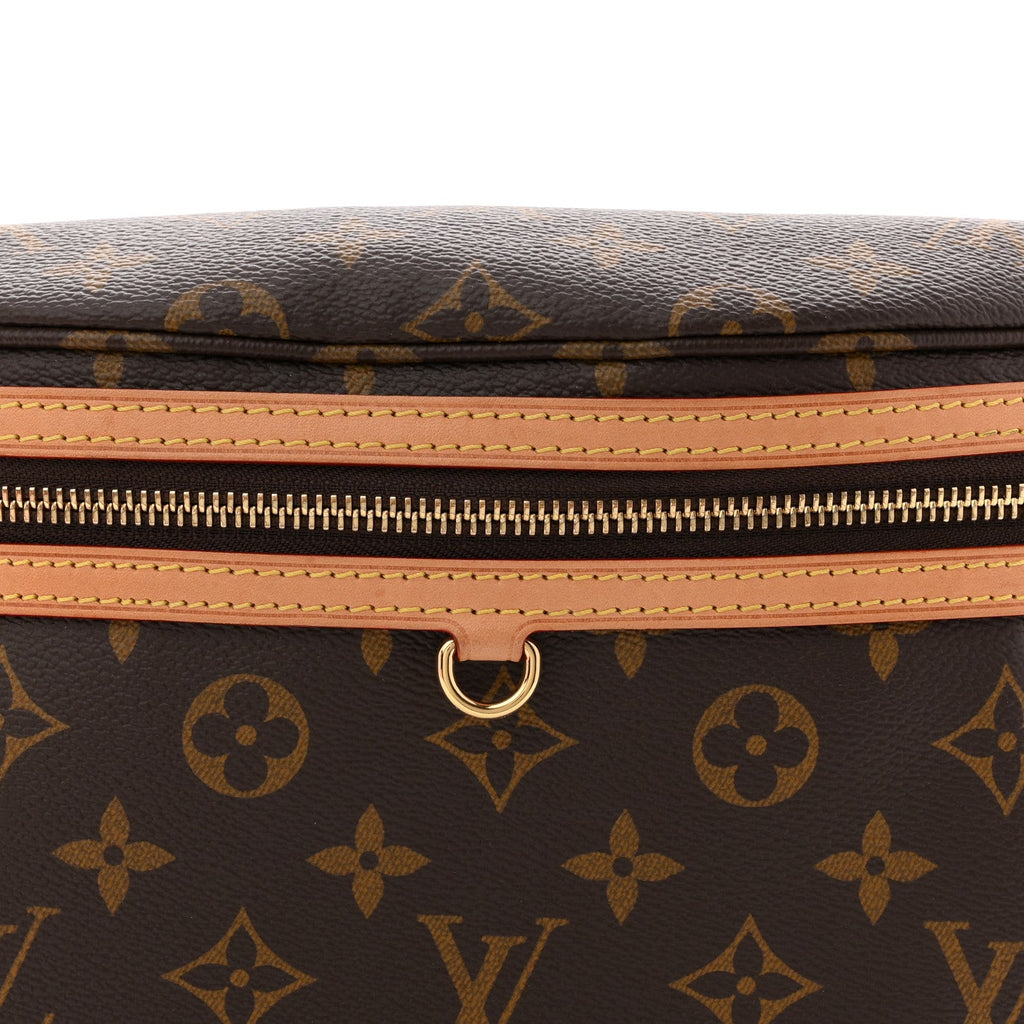 Louis Vuitton Monogram High Rise Bumbag