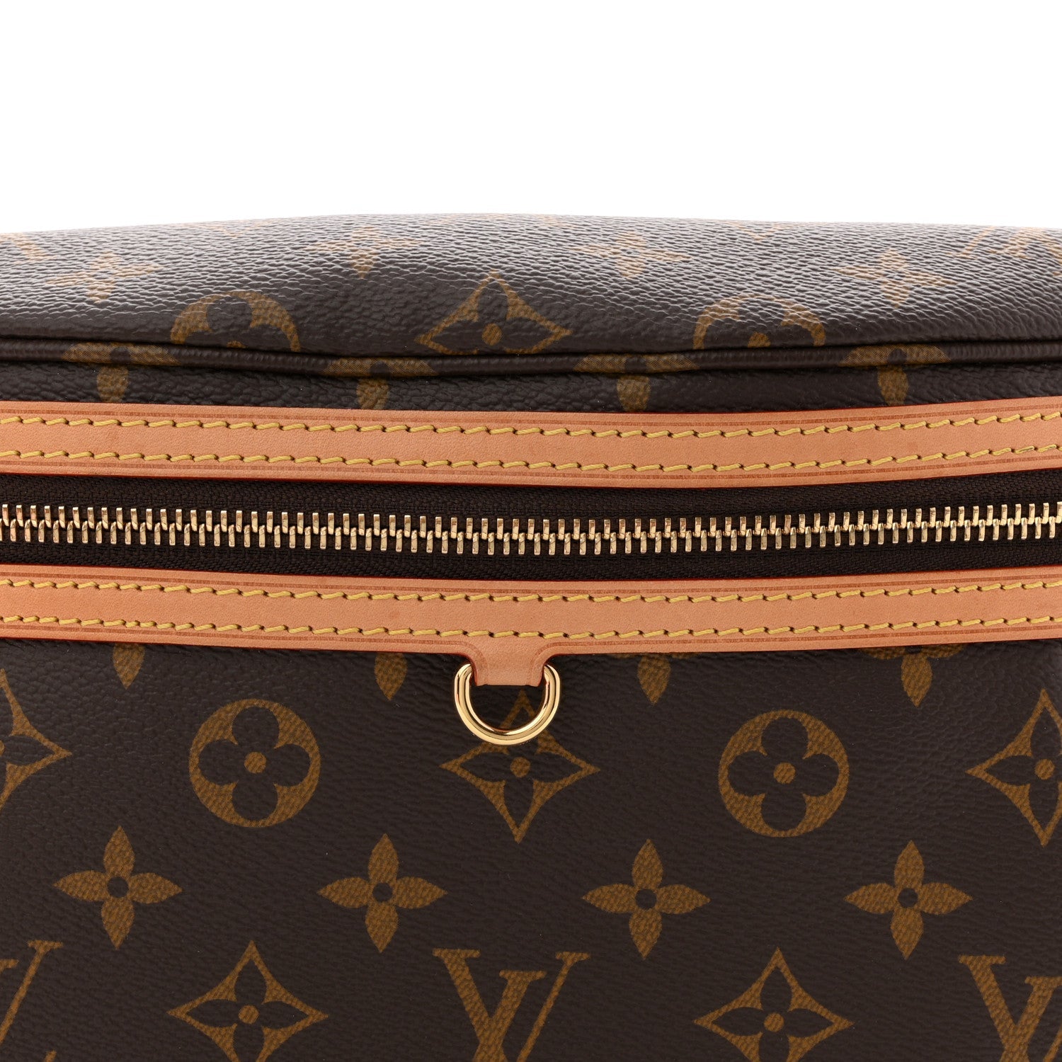 Louis Vuitton Monogram High Rise Bumbag