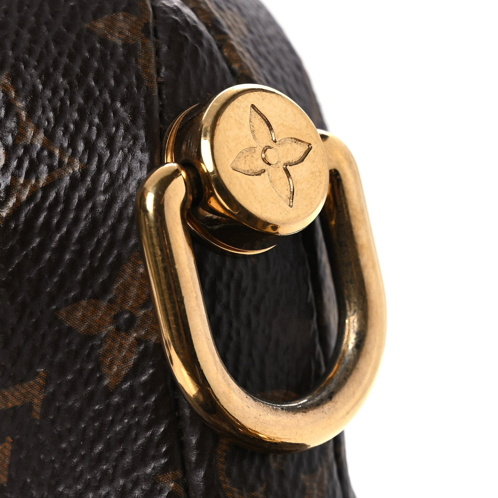 Louis Vuitton X NIGO Monogram Duck Bag