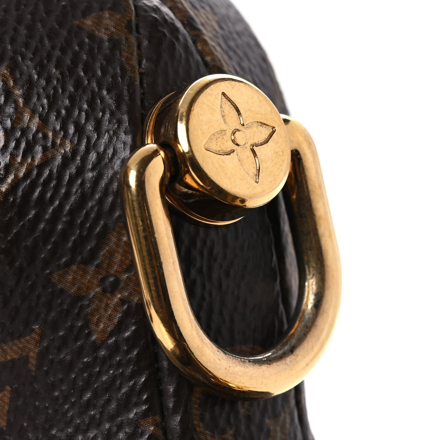 Louis Vuitton X NIGO Monogram Duck Bag