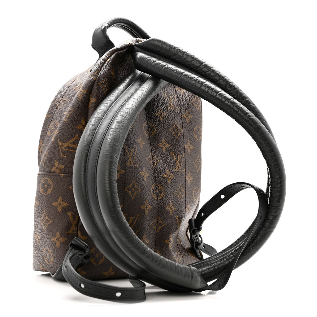Louis Vuitton Reverse Monogram Palm Springs Backpack PM