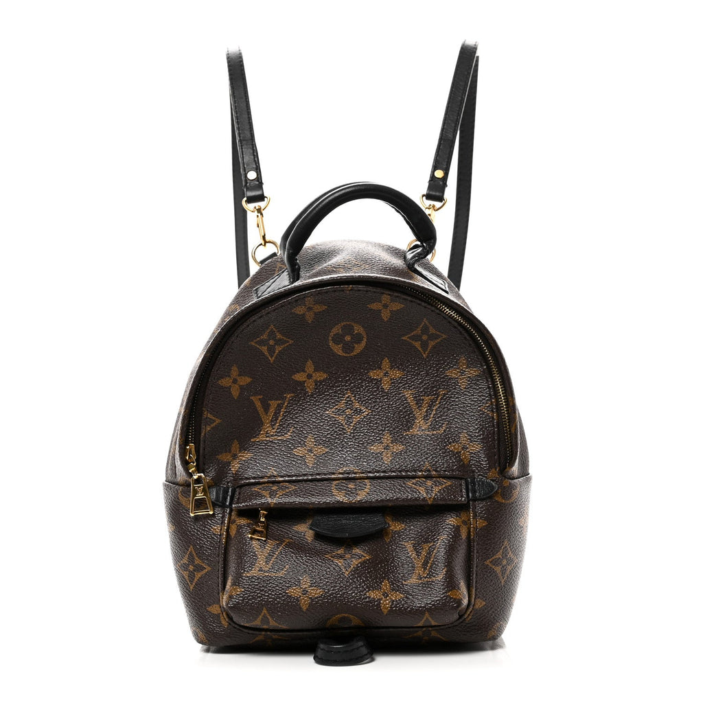 Louis Vuitton Monogram Palm Springs Backpack Mini