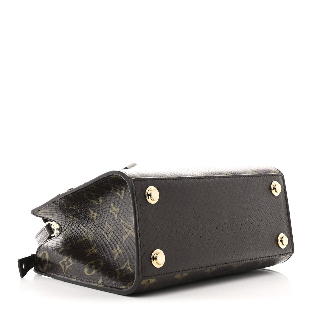 Louis Vuitton Snakeskin Monogram City Steamer Mini Brown
