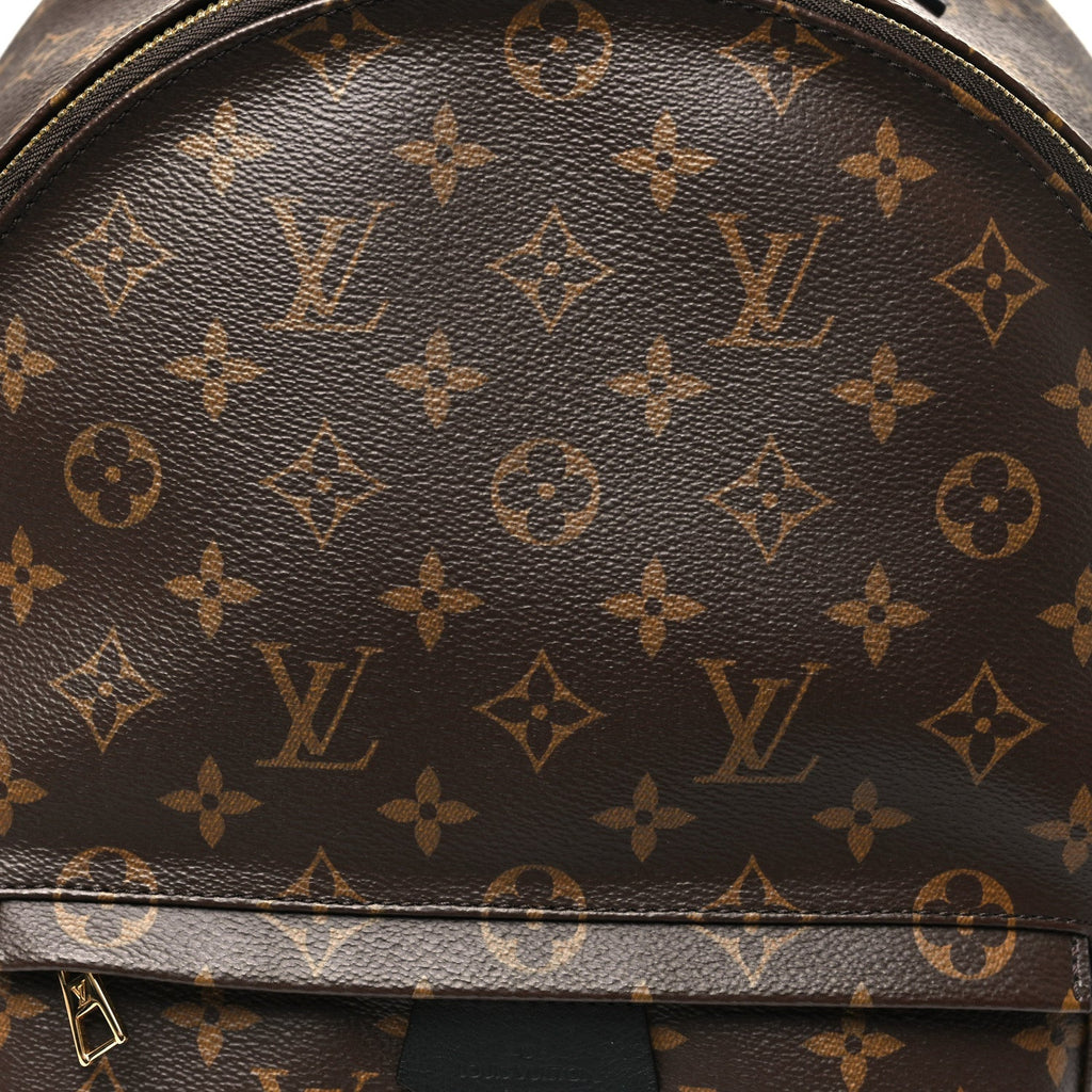 Louis Vuitton Monogram Palm Springs Backpack MM