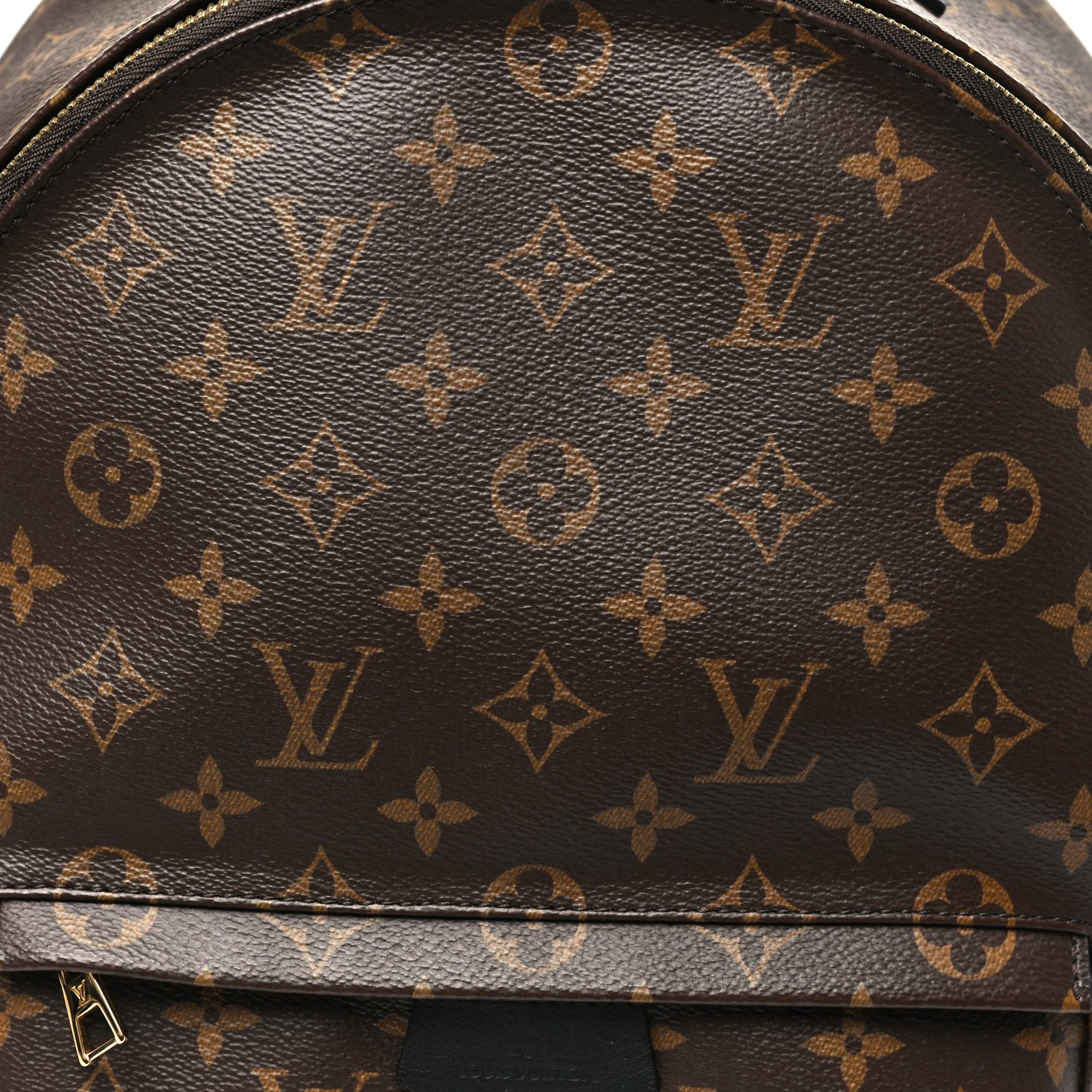 Louis Vuitton Monogram Palm Springs Backpack MM