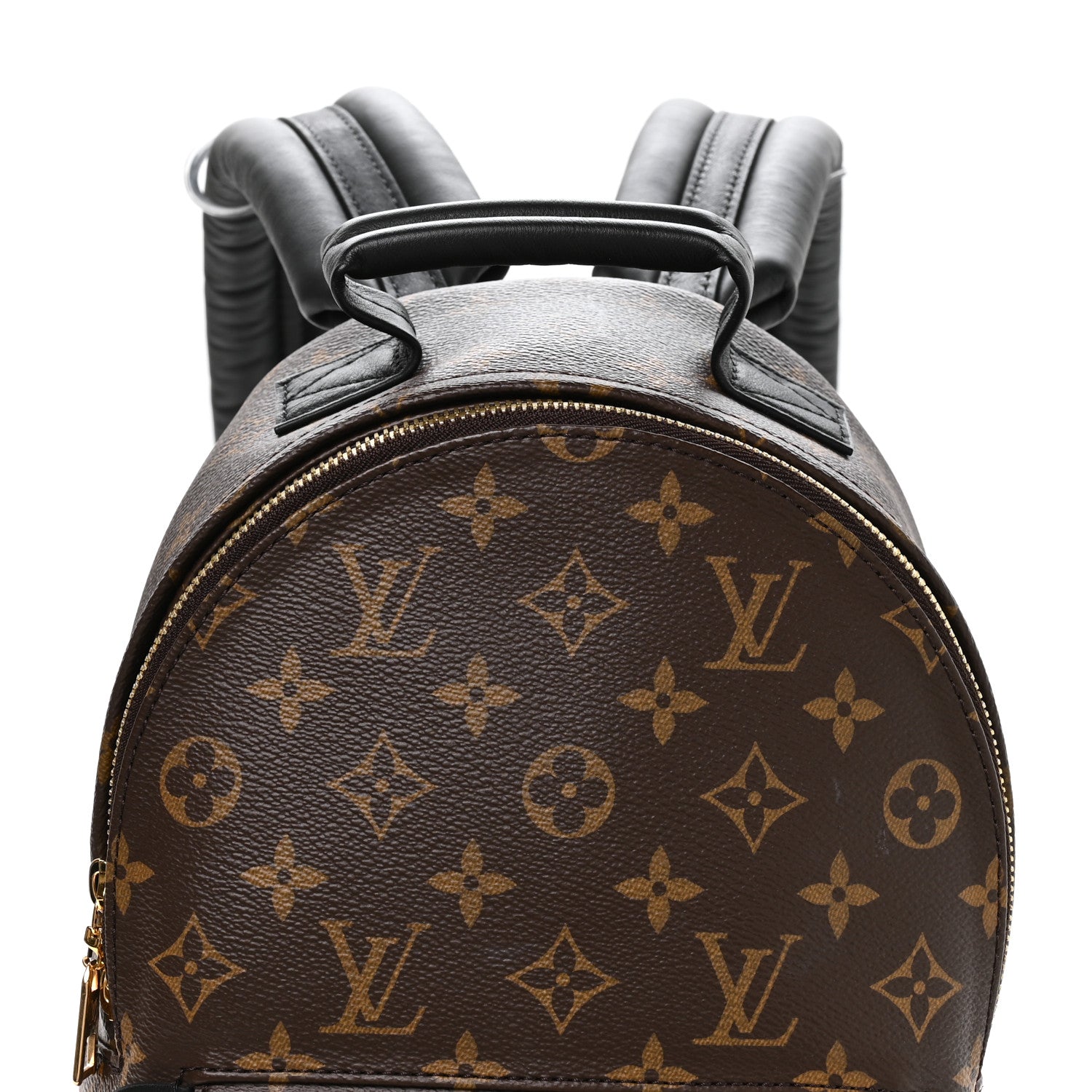 Louis Vuitton Monogram Palm Springs Backpack PM