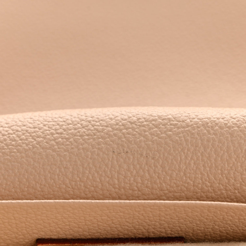 Louis Vuitton Monogram Nice Mini
