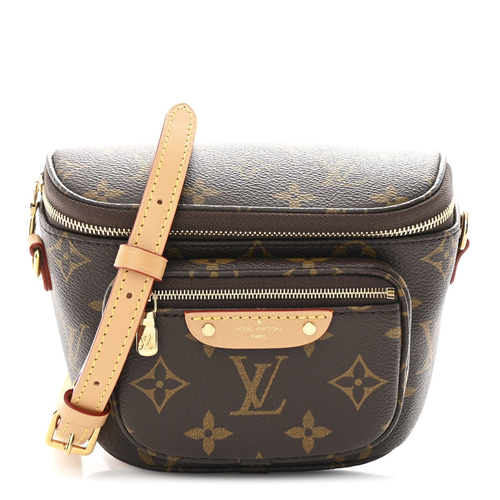 Louis Vuitton Monogram Mini Bumbag