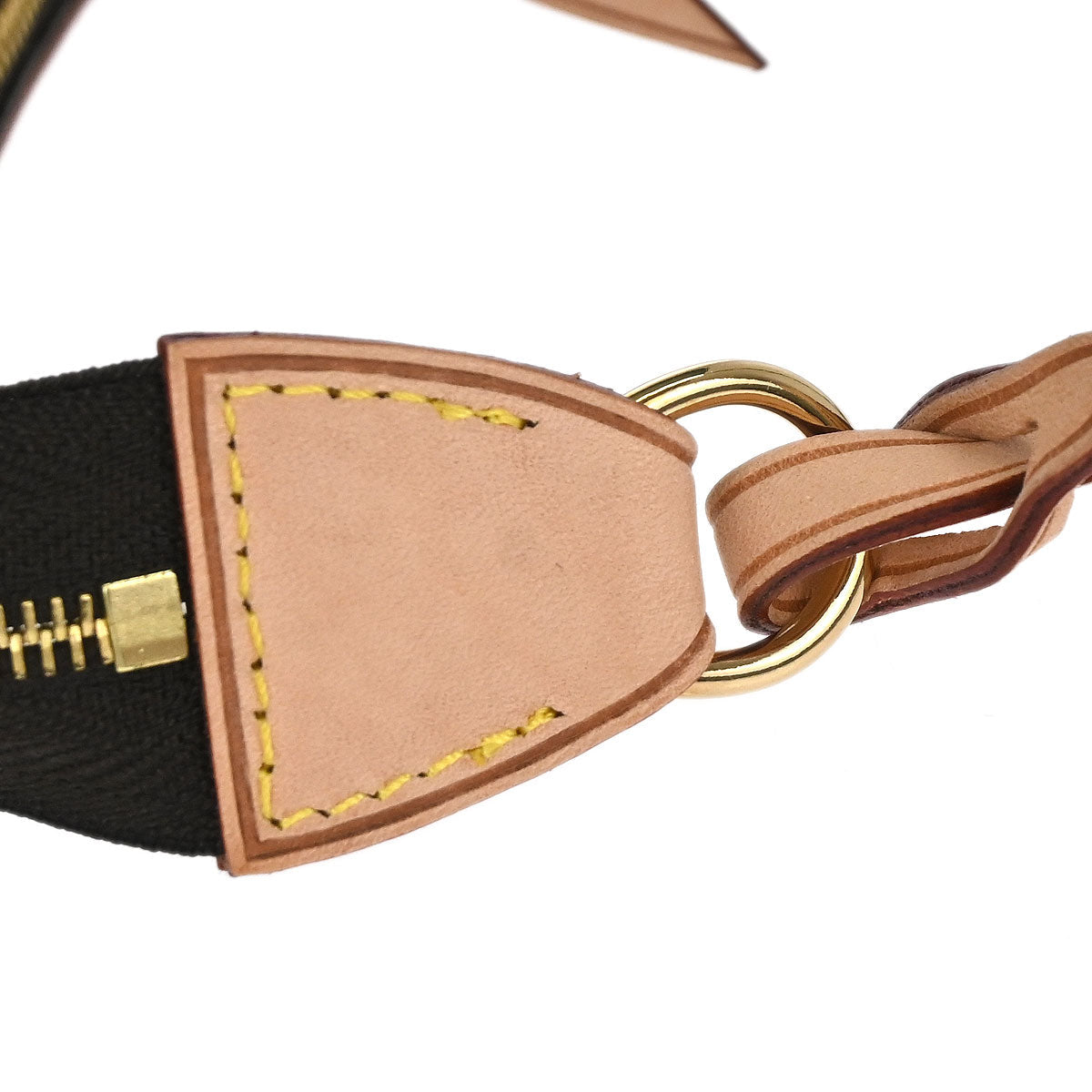 Louis Vuitton Monogram Mini Pochette Delightful Handbag M40309
